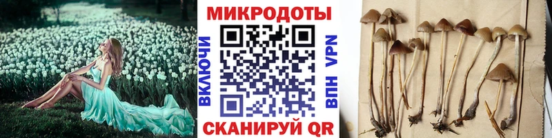 Галлюциногенные грибы MAGIC MUSHROOMS  где купить наркоту  Лодейное Поле 